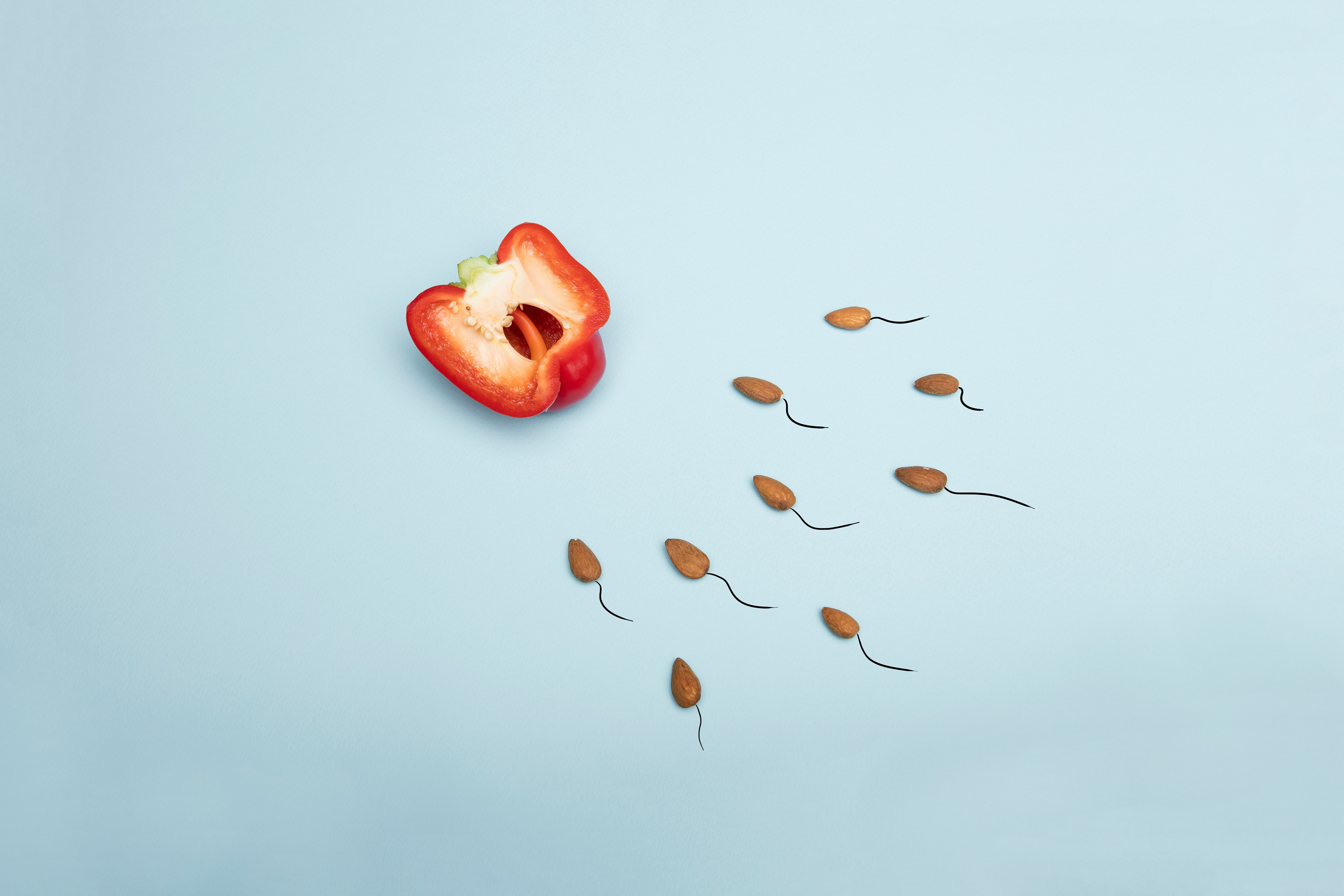 Lafayette, CA – Reduce Stress and Improve Outcomes of IVF with Acupuncture and Herbs